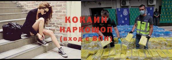 МДПВ Нефтегорск