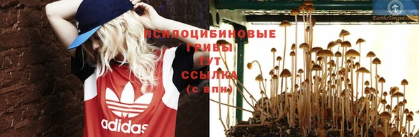 спайс Нефтекумск