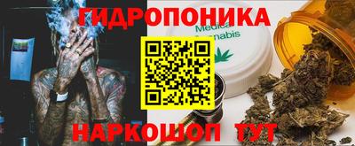 твердый Гусев