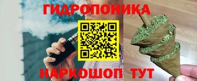гидра Гусь-Хрустальный