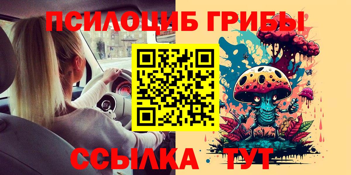 Мытищи  Галлюциногенные грибы прущие грибы  Галлюциногенные грибы мухоморы  Вход с VPN 