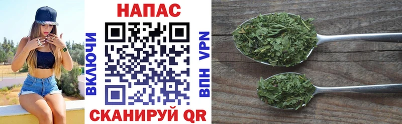Конопля гибрид Мытищи